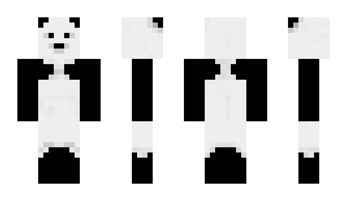 earthrun5349 Minecraft Skin