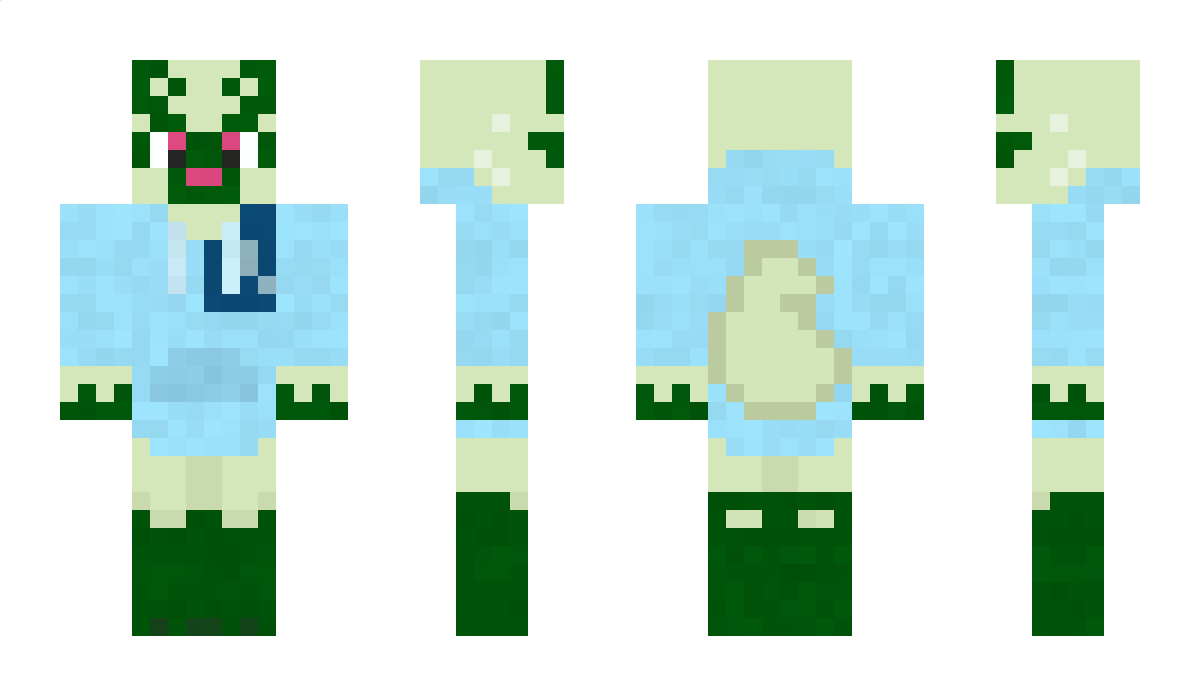 AwesomeMarioBros Minecraft Skin