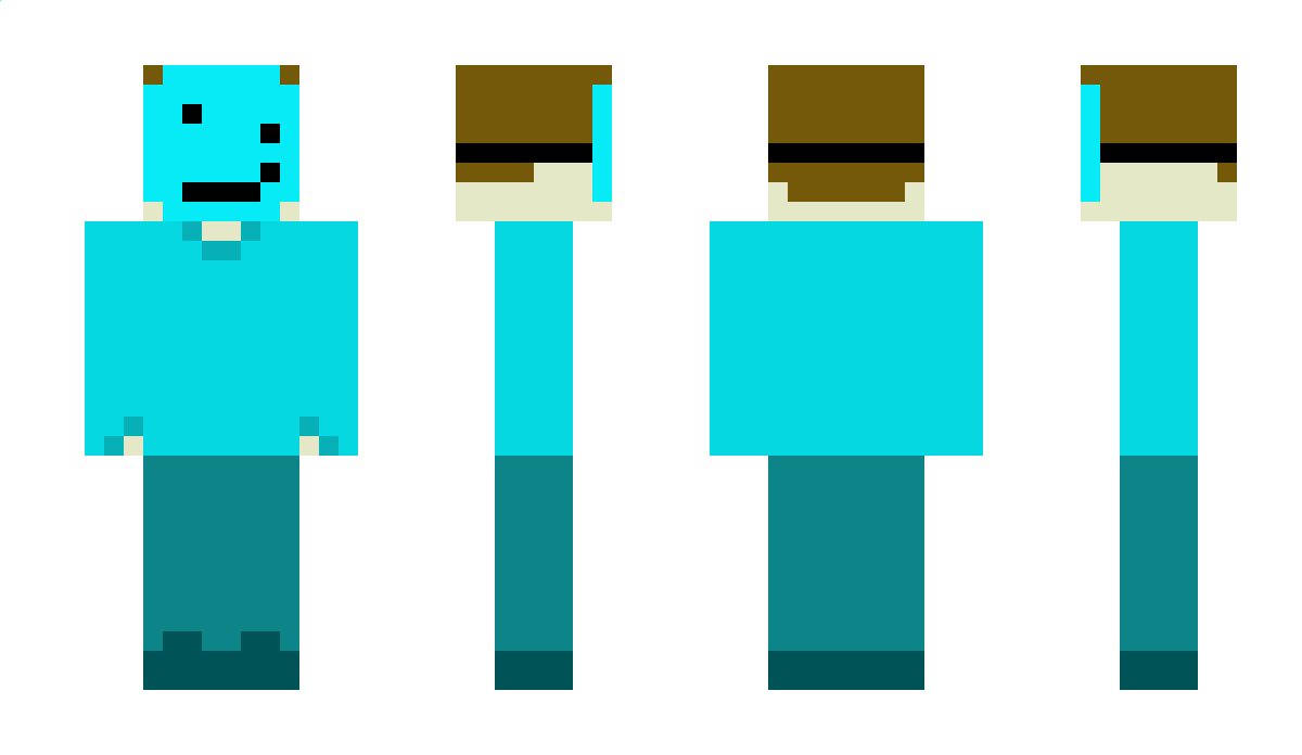 bart0112 Minecraft Skin