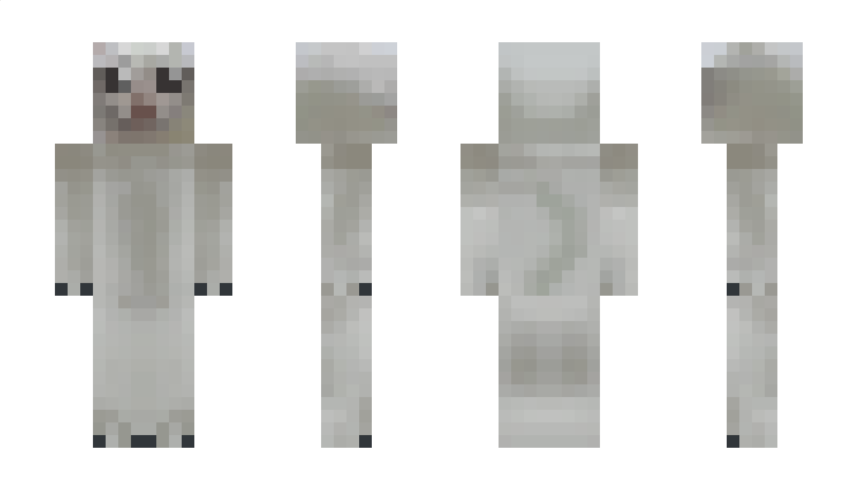 RetinaN3 Minecraft Skin