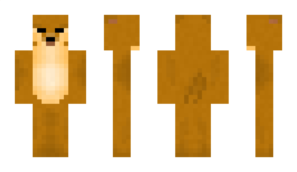 BonkieDoge Minecraft Skin