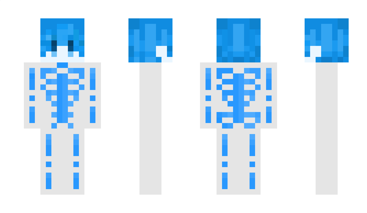 BluWheel Minecraft Skin