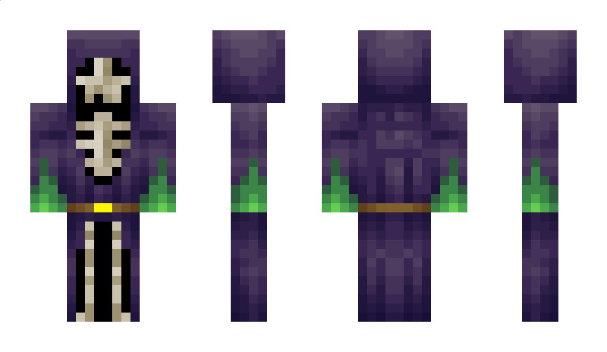 Roiy Minecraft Skin