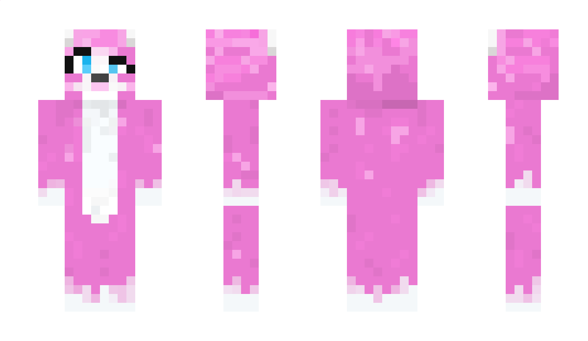 Catlordgamer Minecraft Skin