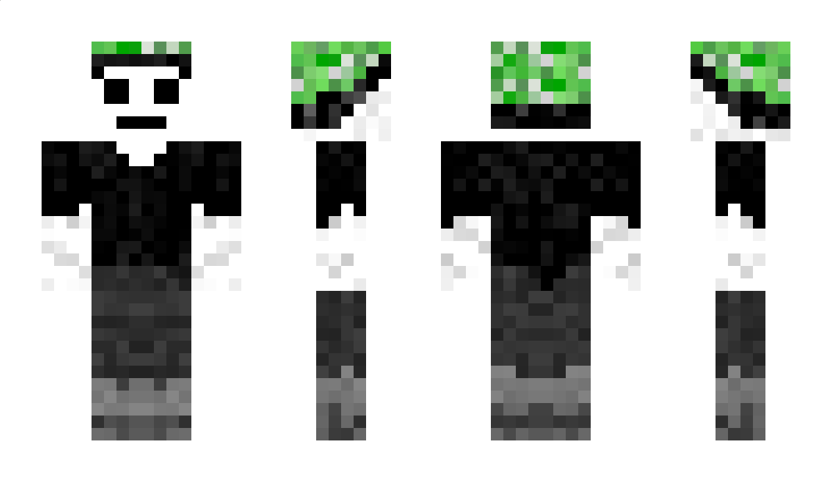 P_Flip Minecraft Skin