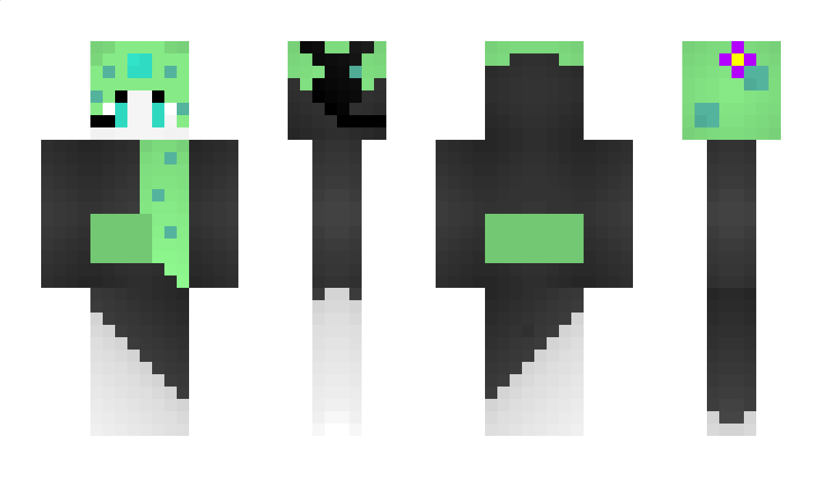 CreeperT1D Minecraft Skin