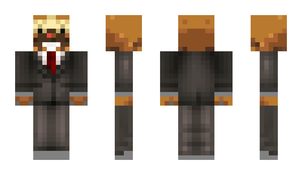 DMRL Minecraft Skin