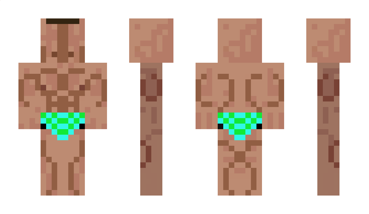 x8_Force_8x Minecraft Skin