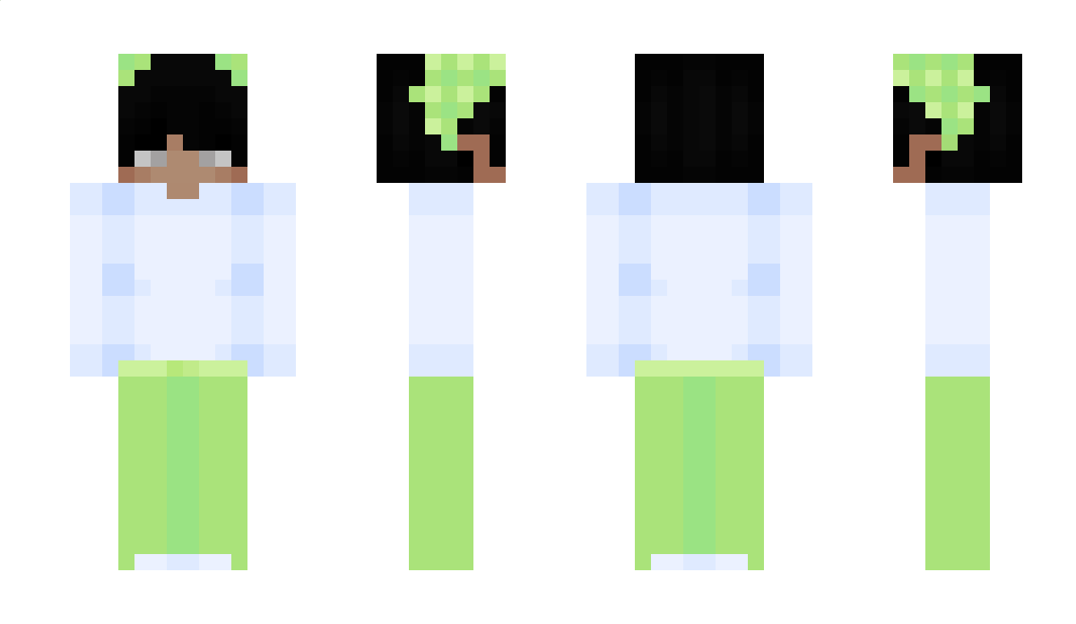 Zildoxx Minecraft Skin