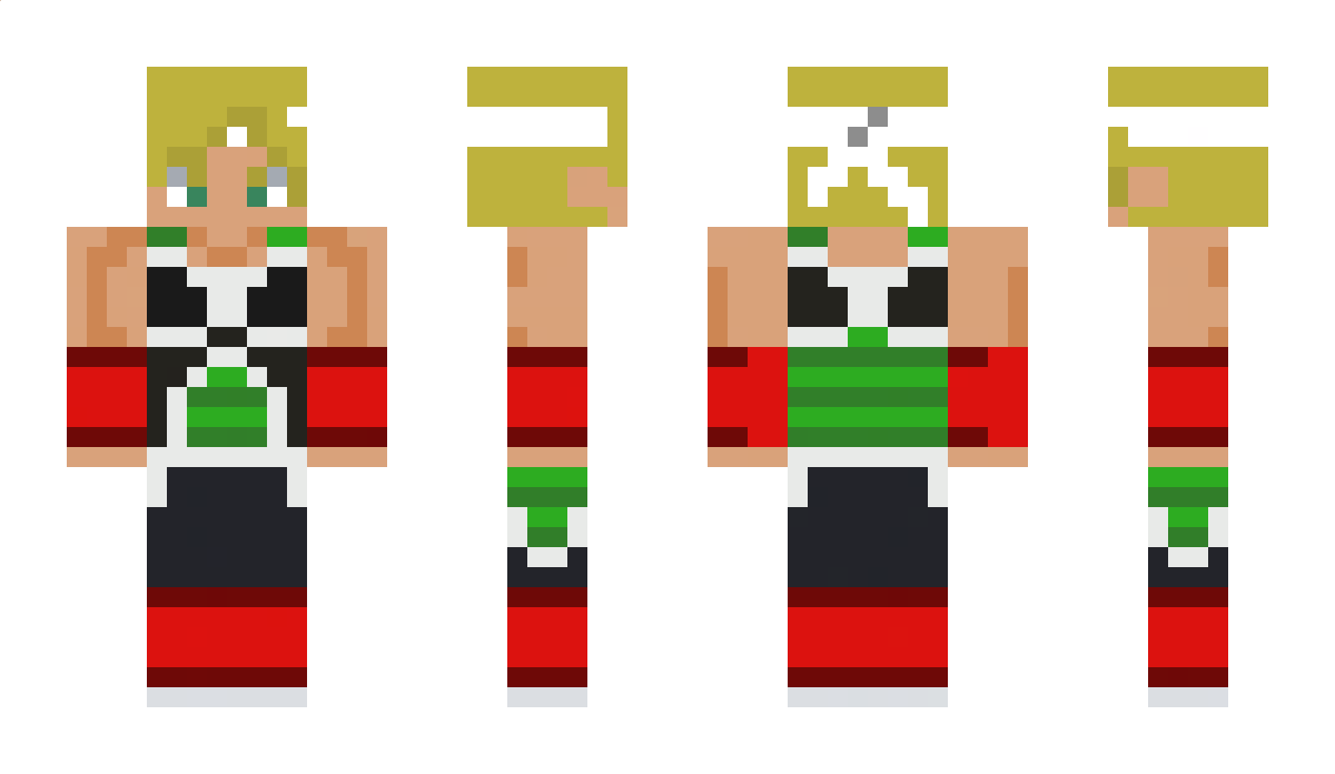 Zolw Minecraft Skin