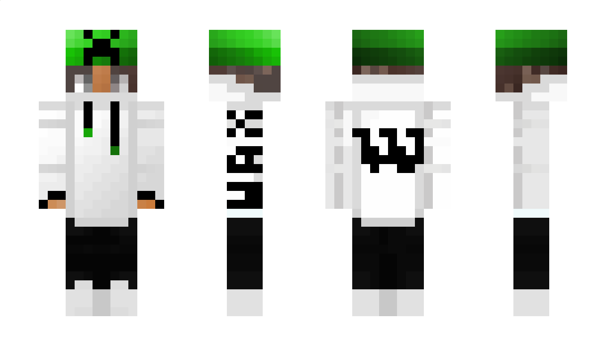 Apemaster_ Minecraft Skin