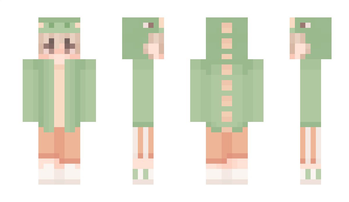 snghanbin Minecraft Skin