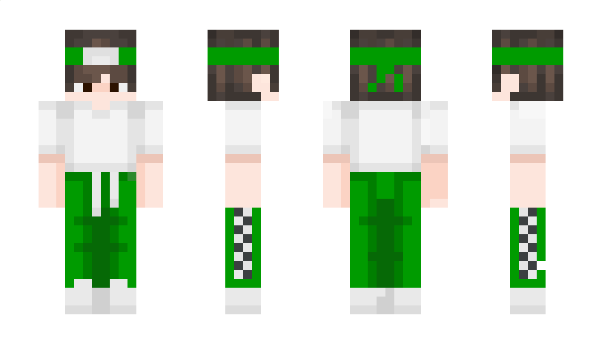 Ecosistema Minecraft Skin