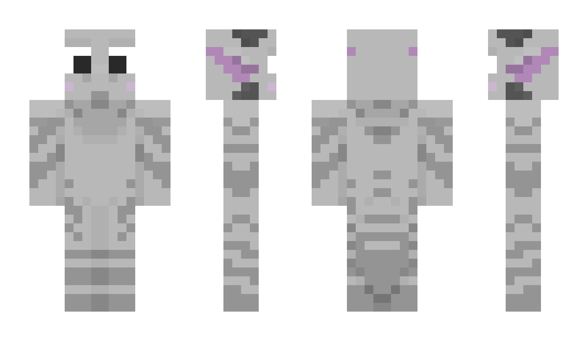 Norgad_ Minecraft Skin