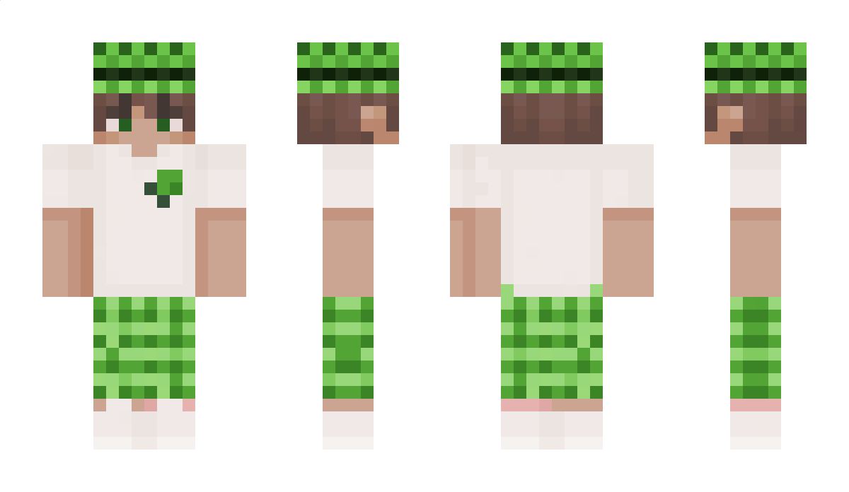 znakgames Minecraft Skin