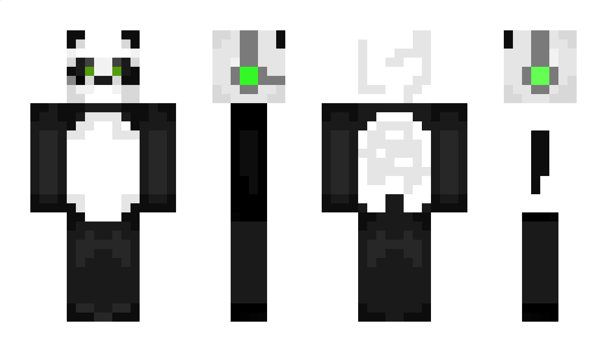 panda17 Minecraft Skin