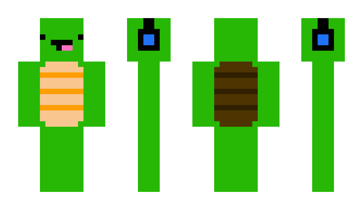 TurtleMc Minecraft Skin