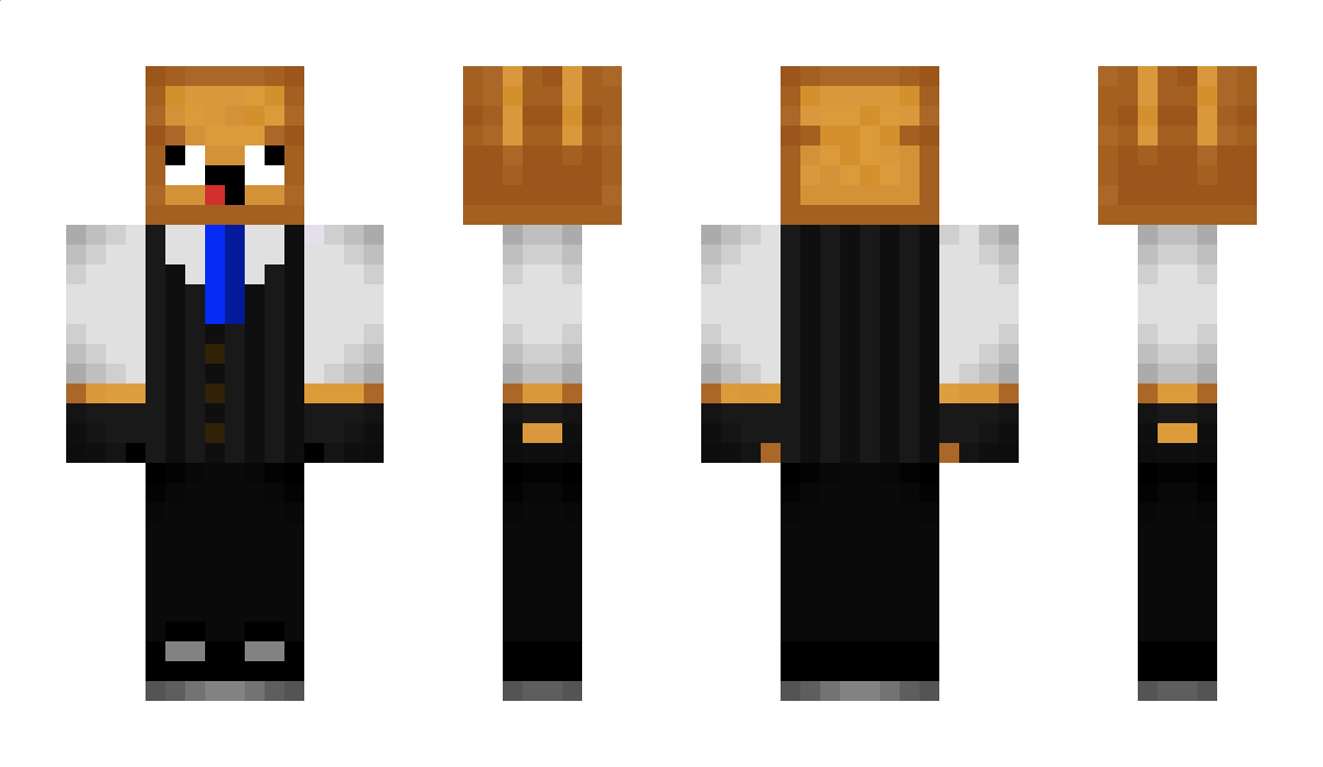 Wipp1312 Minecraft Skin