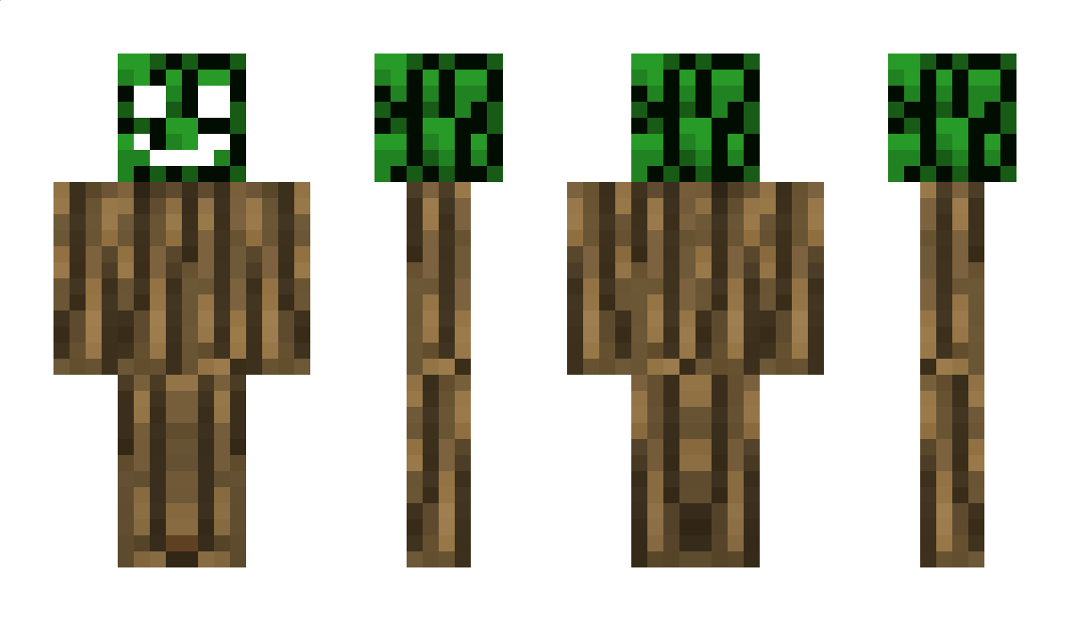 Random1785 Minecraft Skin