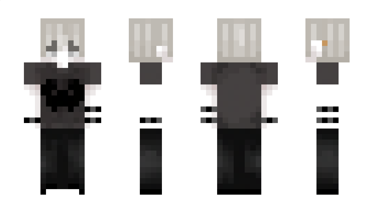 Zeelz_ Minecraft Skin