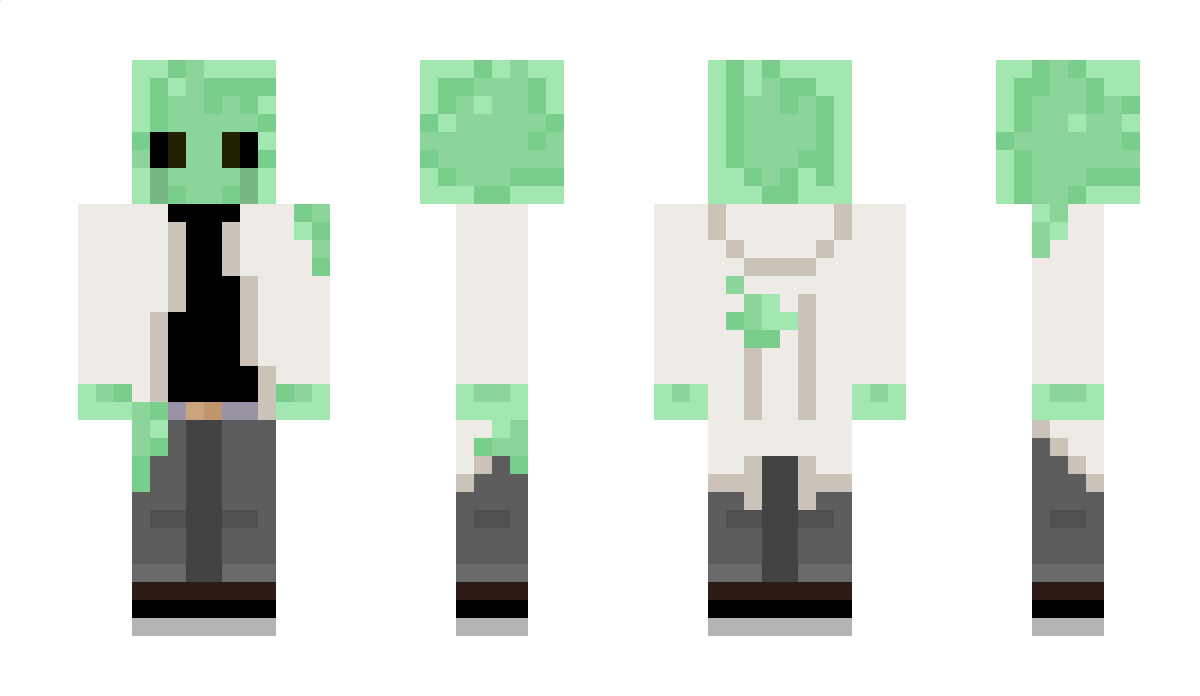 Slime33 Minecraft Skin