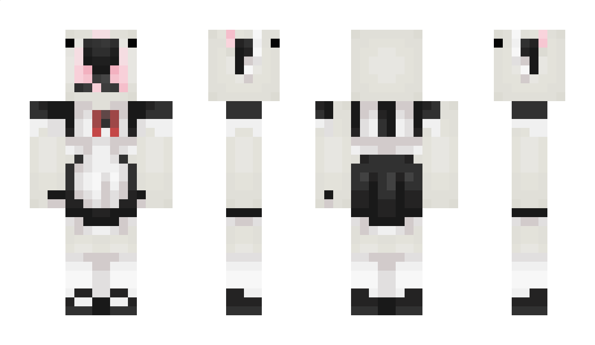 Androx Minecraft Skin