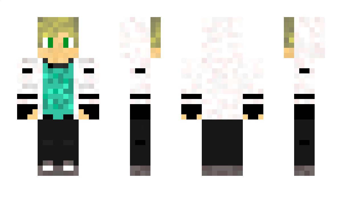 _jaywok Minecraft Skin