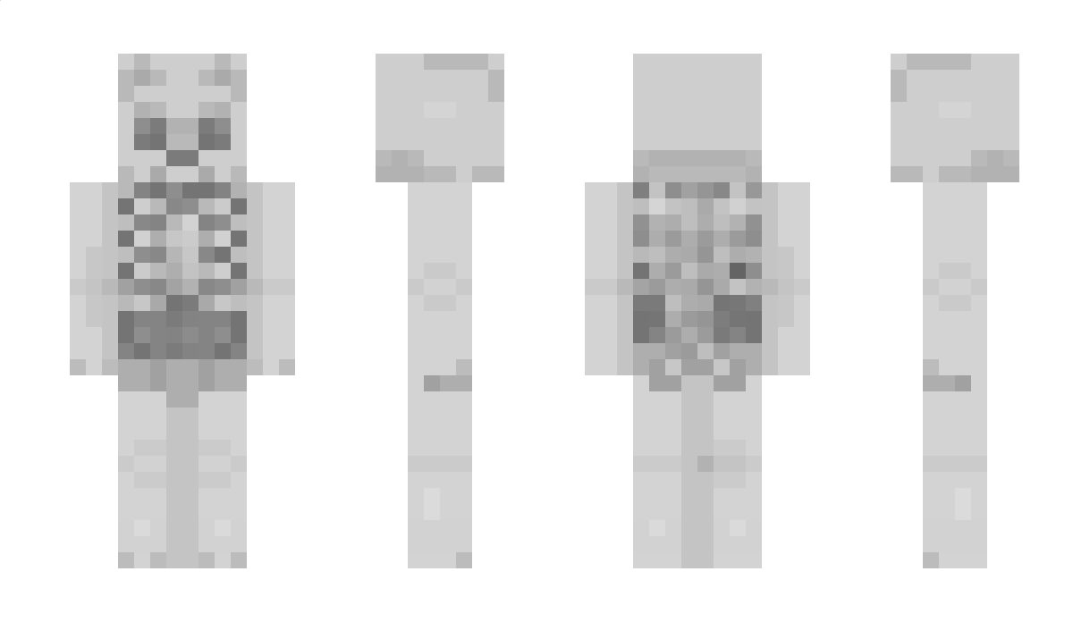 6asic Minecraft Skin