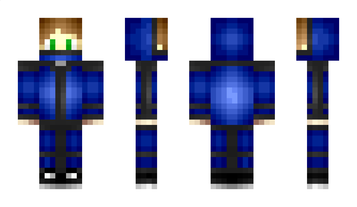 Zeldraft Minecraft Skin