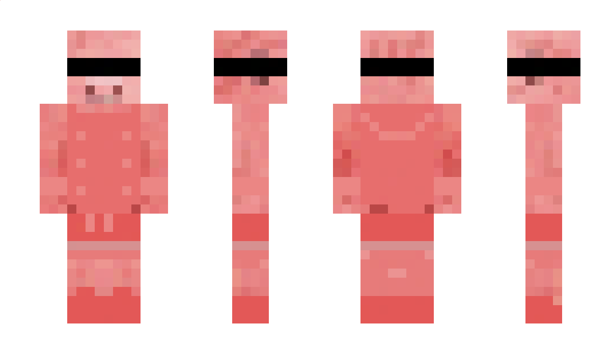 PigletX9 Minecraft Skin