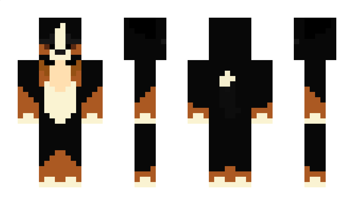 supersonicboom12 Minecraft Skin