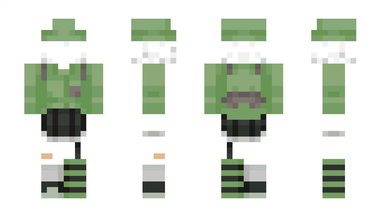 catadioptric Minecraft Skin