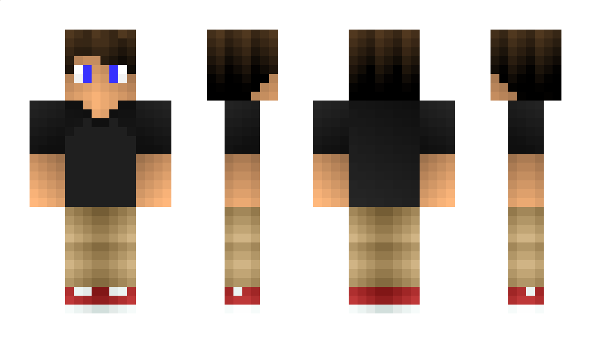 brinkwhy Minecraft Skin