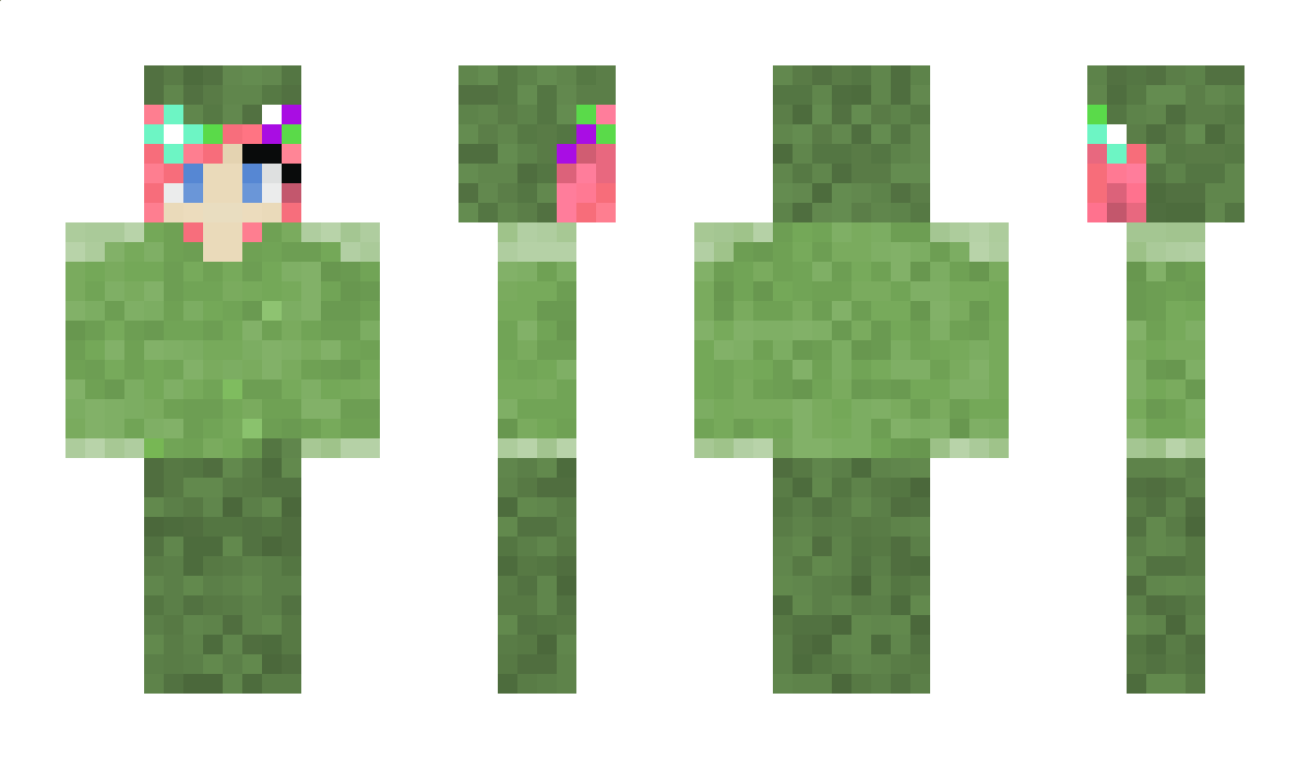 Cocoecake Minecraft Skin