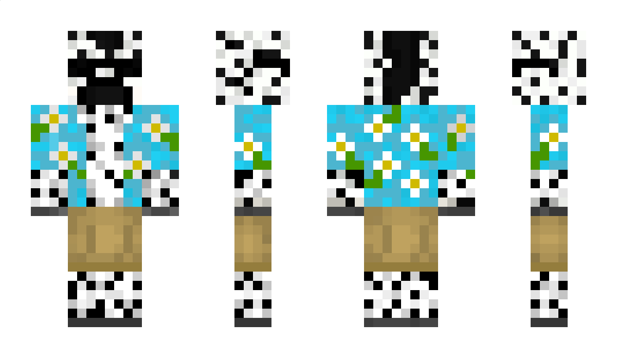 das_Zebruh Minecraft Skin