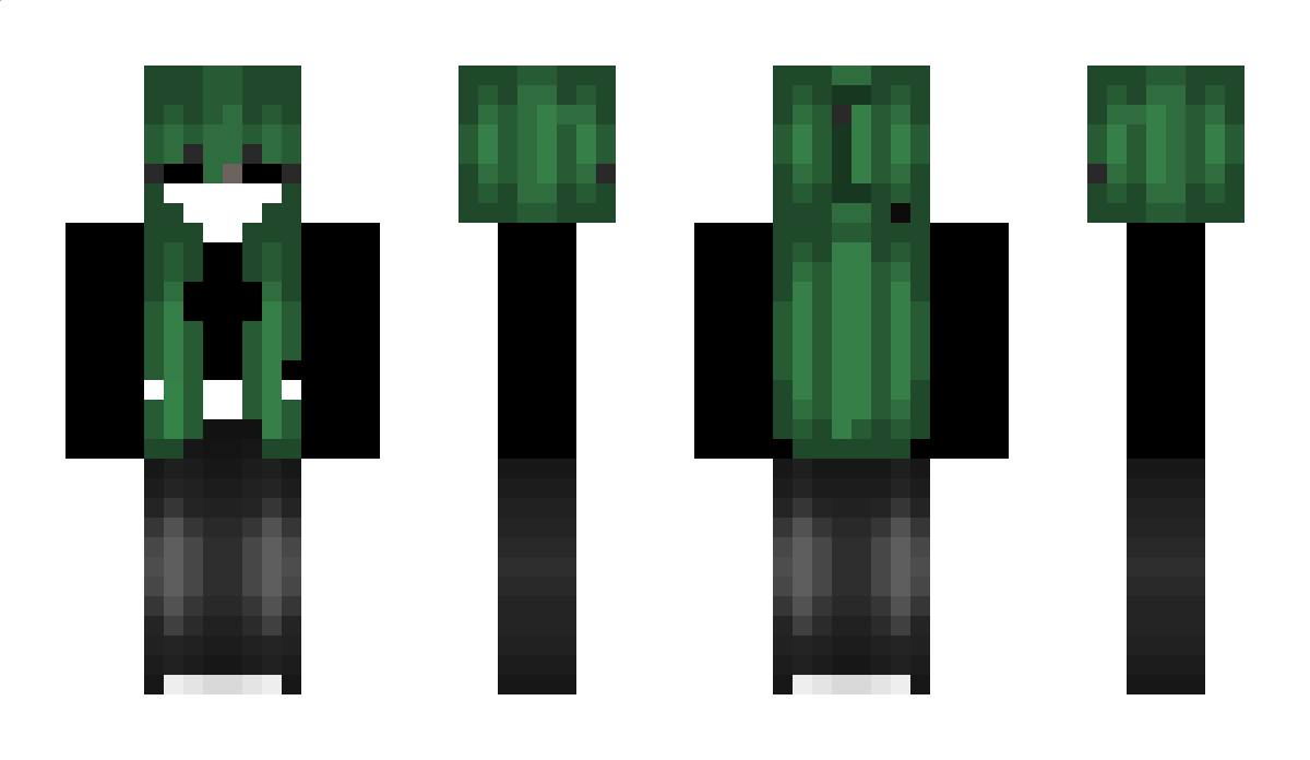 shaelol Minecraft Skin