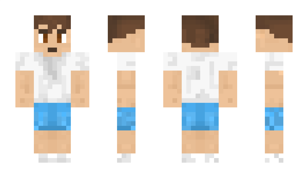 NoDudi Minecraft Skin