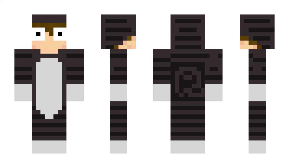 Crazycatguy3120 Minecraft Skin