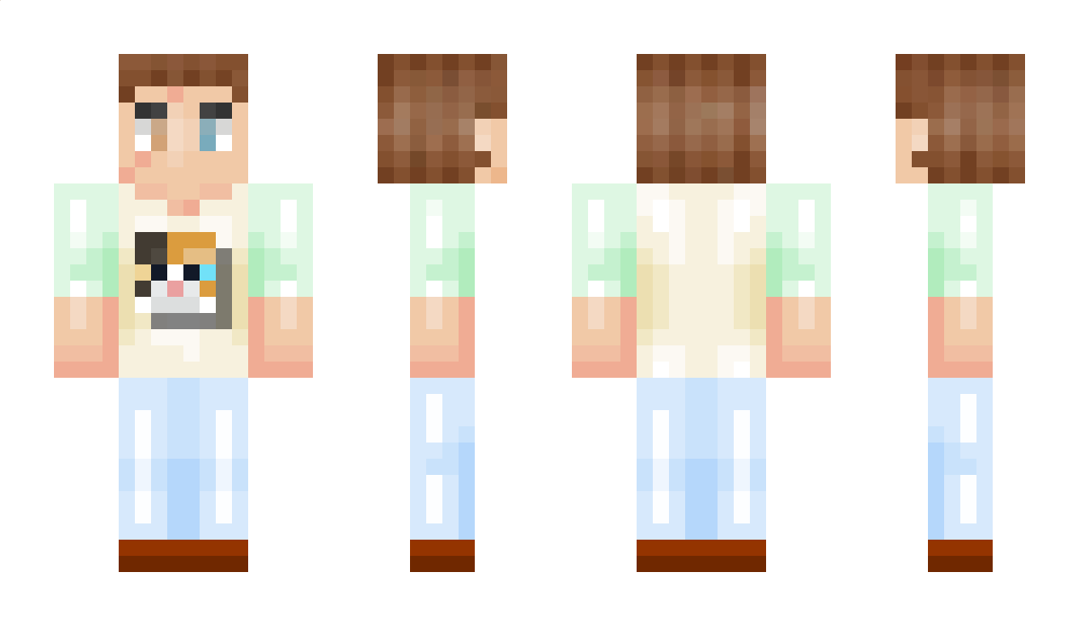 wing_java Minecraft Skin