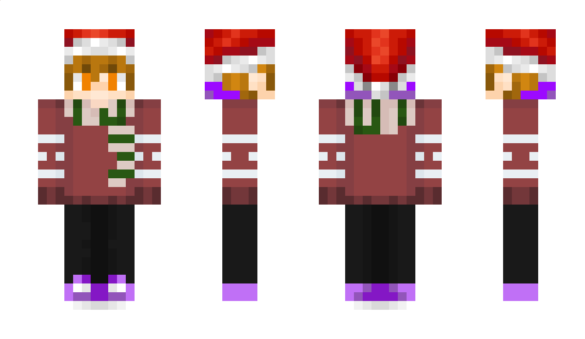 VizzyCraft Minecraft Skin