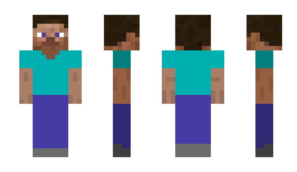 Person Minecraft Skin