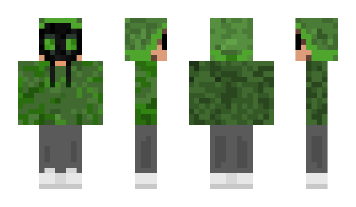 Nperk12 Minecraft Skin