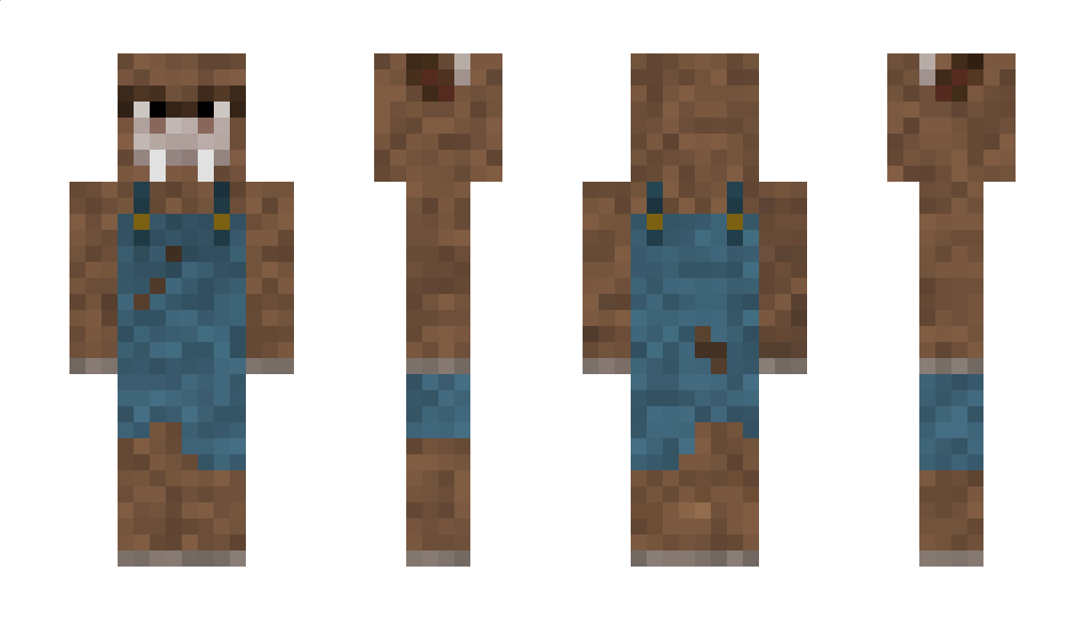 Analochse Minecraft Skin