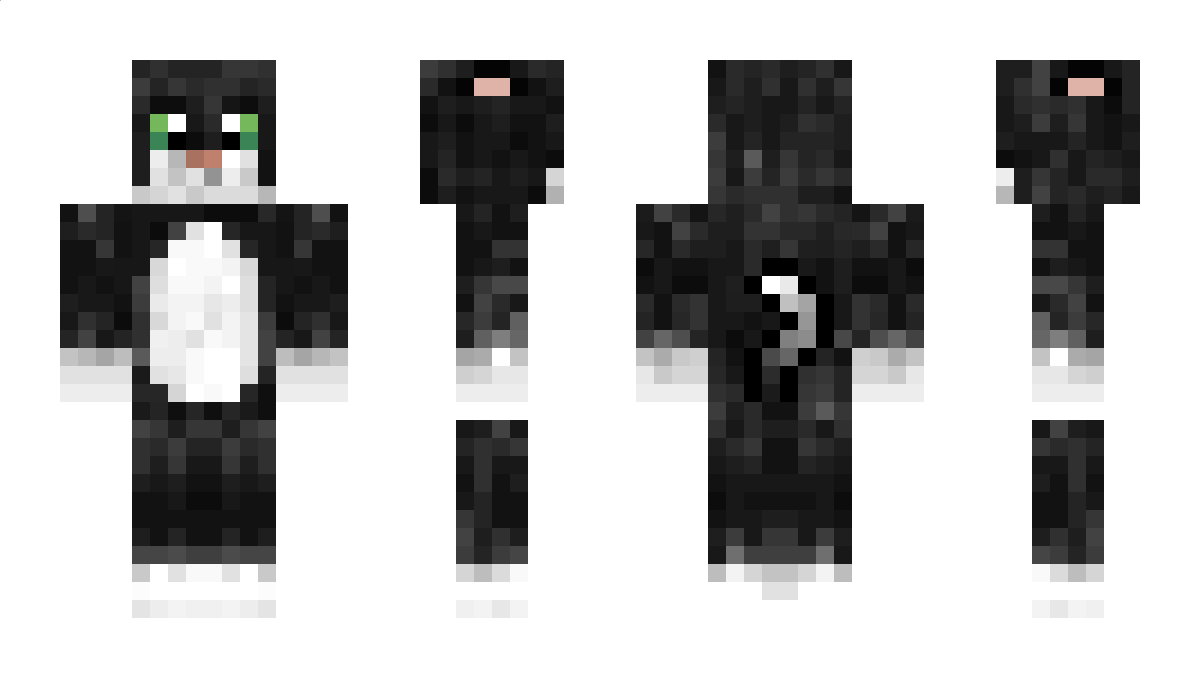 OC3L0T Minecraft Skin