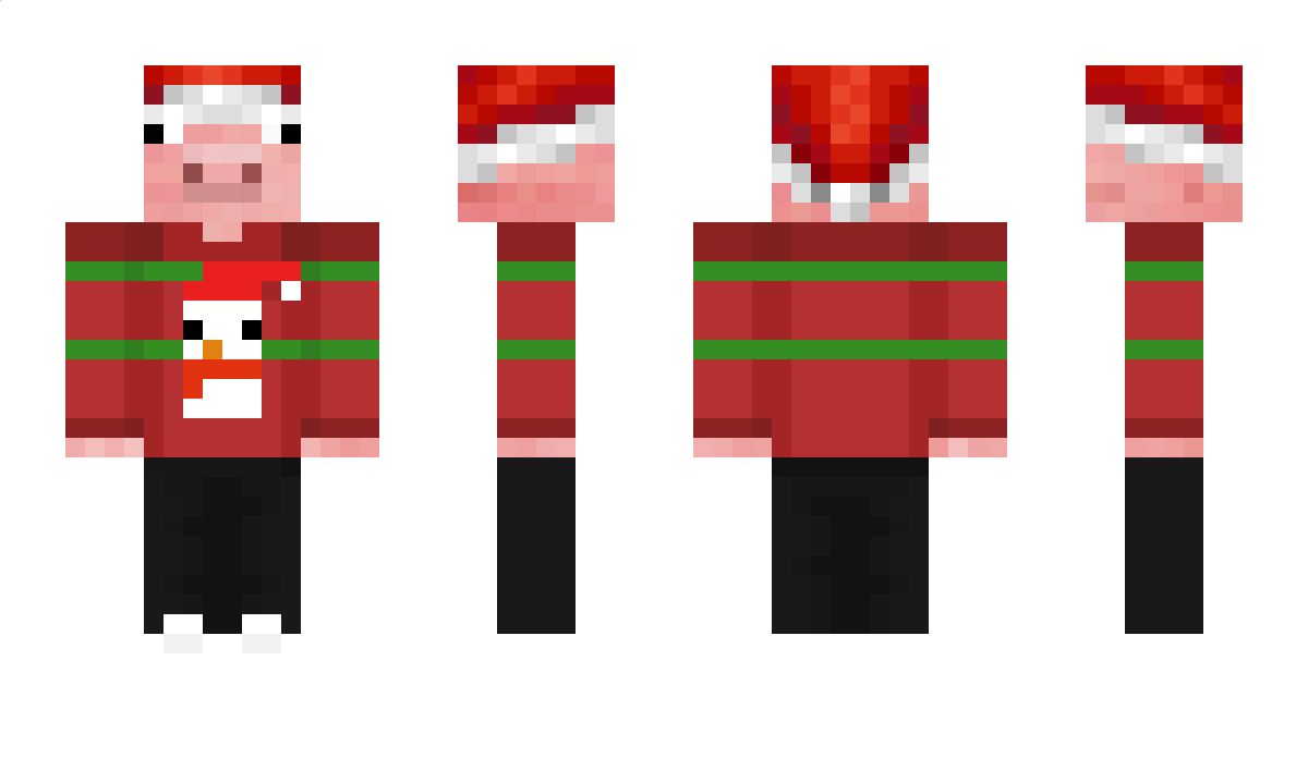 Diderkoter Minecraft Skin