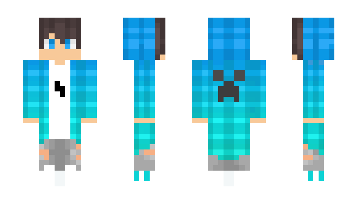 WarriorPlayzzz Minecraft Skin