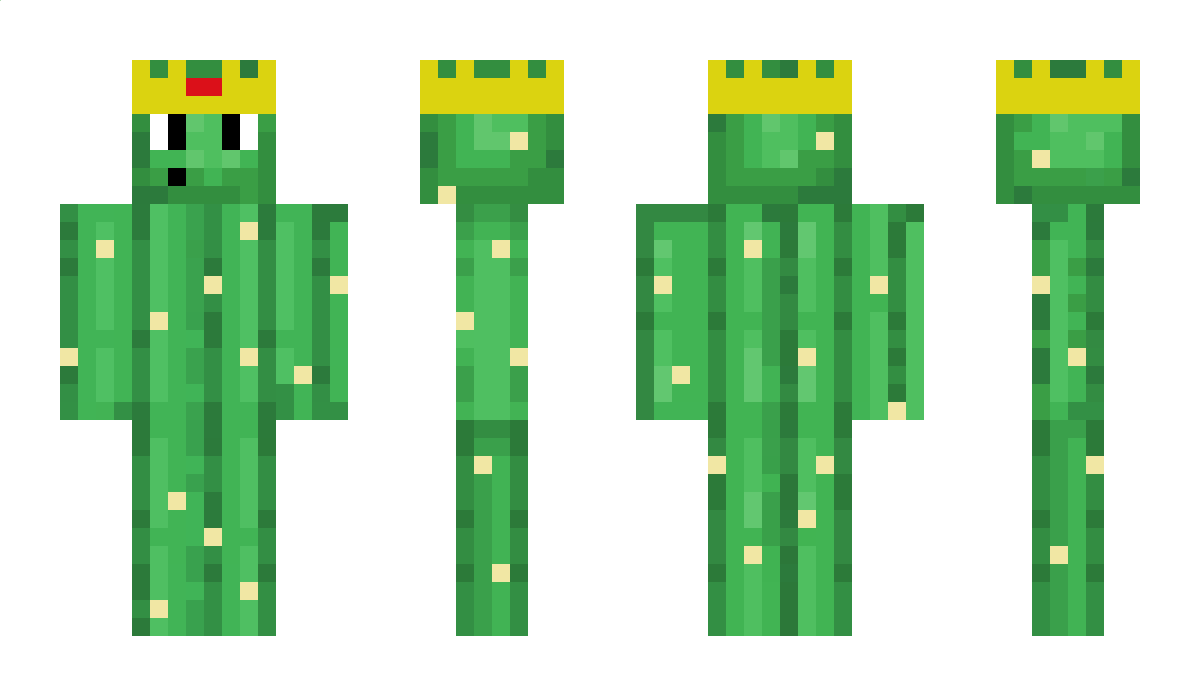 ReCactus_ Minecraft Skin