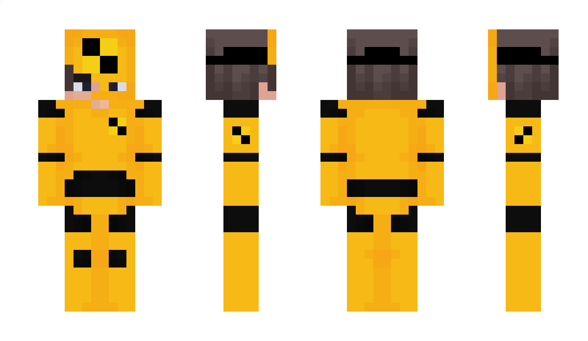 Parrots Minecraft Skin