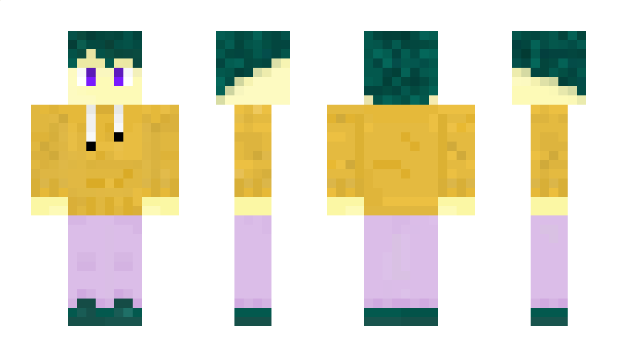 Netri9 Minecraft Skin