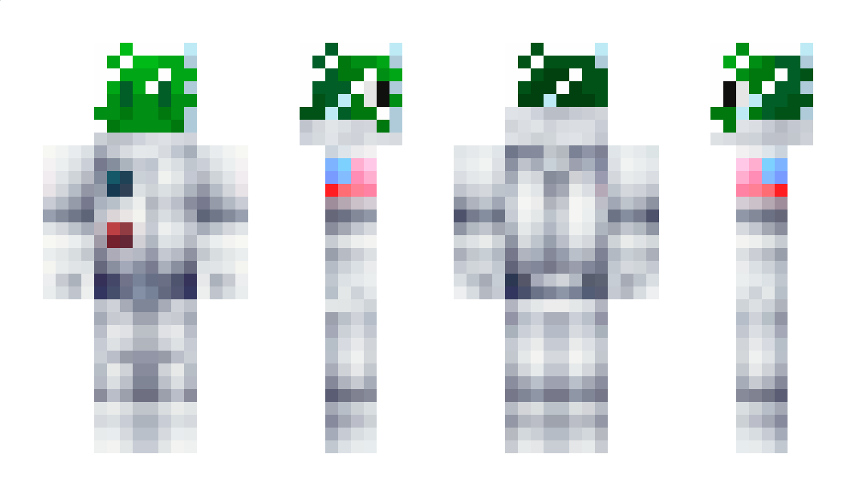 Turtel Minecraft Skin